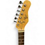 Used Michael Kelly TANS AMBER Amber Solid Body Electric Guitar Amber