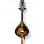 Used Mitchell AM100 VINTAGE BURST Mandolin VINTAGE BURST