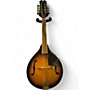 Used Mitchell AM100VS A-Style Vintage Sunburst Mandolin Vintage Sunburst