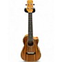 Used Mitchell Used Mitchell MU100CE Concert Natural Ukulele Natural