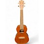 Used Mitchell Used Mitchell MU40C Ukulele Natural