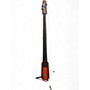 Used NS Design NTXA UPRIGHT BASS Brown Sunburst Upright Bass Brown Sunburst