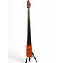 Used NS Design omni violin bust Upright Bass violin bust