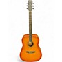 Used Nashville Guitar Works D10EB EDGEBURST Acoustic Guitar EDGEBURST