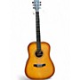 Used Nashville Guitar Works d10eb 2 Color Sunburst Acoustic Guitar 2 Color Sunburst