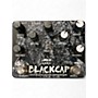Used Old Blood Noise Endeavors BLACKCAP Effect Pedal