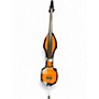 Used Palatino VE-550 Sunburst Upright Bass Sunburst