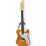 Used Parks Usa T-STYLE THINLINE Natural Hollow Body Electric Guitar Natural