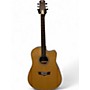 Used Peavey Used Peavey DW2 Natural Acoustic Electric Guitar Natural