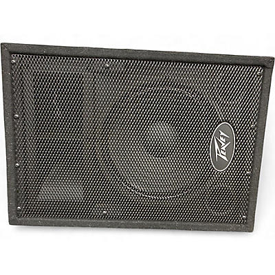 Used Peavey PVI10 Unpowered Monitor