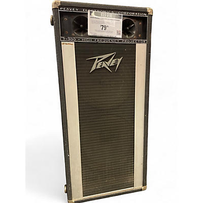 Used Peavey T300 Unpowered Speaker