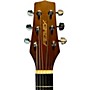 Used Peavey Used Peavey Tupelo Natural Acoustic Guitar Natural