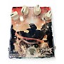 Used Protone Pedals MARK HOLCOMB HAUNTED DELAY Effect Pedal
