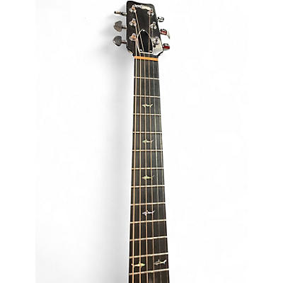 Used RainSong BI-OM1000N2 CARBON Acoustic Electric Guitar
