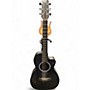 Used RainSong NP12 CARBON  Acoustic Electric Guitar CARBON