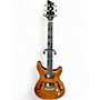 Used Raven West RG450 Trans Blonde Hollow Body Electric Guitar Trans Blonde