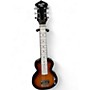 Used Recording King RG-32 VIOLIN BURST Lap Steel VIOLIN BURST