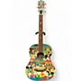 Used Recording King RG100T GRAPHIC Acoustic Guitar GRAPHIC