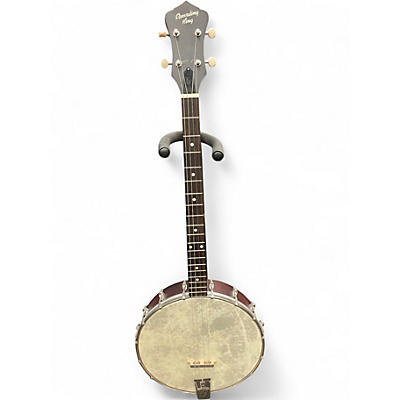 Used Recording King Rkt-05 Natural Banjo