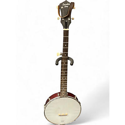 Recording King Used Recording King rko-3S Natural Banjo