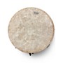 Used Remo DJEMBE Djembe