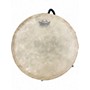 Used Remo LEON MOBLEY Djembe