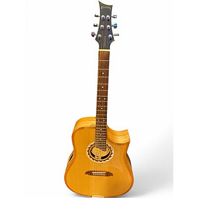Used Riversong Guitars Traditional 1 Performance Natural Acoustic Electric Guitar