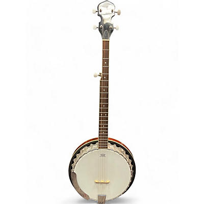 Rogue Used Rogue B30 Deluxe Natural Banjo