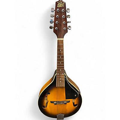 Used Rogue RM-100 SUN BURST Mandolin