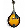 Used Rogue RM100A A Style BURST Mandolin BURST