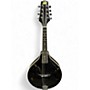 Used Rogue RM100A A Style Black Mandolin Black