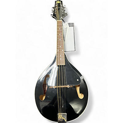 Rogue Used Rogue RM101A Black Mandolin