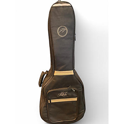 Used Rogue electric sitar wine