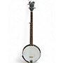 Used Rover Used Rover RB20 Gray Banjo Gray