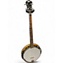 Used Rover RB25 Mahogany Banjo Mahogany
