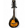 Used Rover RM-25 Sunburst Mandolin Sunburst