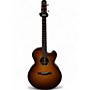 Used Santa Cruz FS MOON SPRUCE/EAST INDIAIN ROSEWOOD CUSTOM BURST Acoustic Electric Guitar CUSTOM BURST
