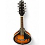 Used Savannah SA-100 Tobacco Sunburst Resonator Guitar Tobacco Sunburst