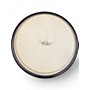 Used Schalloch Percussion Used Schalloch Percussion DJEMBE