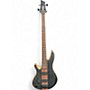 Used Schecter Guitar Research CHARLES BERTHOUD CB-4 SEE THRU BLACK SATIN  Electric Bass Guitar SEE THRU BLACK SATIN