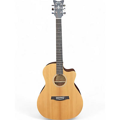 Used Schecter Guitar Research DELUXE SATIN Acoustic Guitar