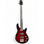 Used Schecter Guitar Research Raiden Special 4 String Trans Red Electric Bass Guitar Trans Red