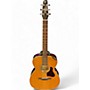 Used Seagull Used Seagull COASTLINE CH MOMENTUM HG AE 2 Color Sunburst Acoustic Electric Guitar 2 Color Sunburst