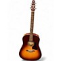 Used Seagull ENTOURAGE AUTUMN BURST AUTUMN BURST Acoustic Guitar AUTUMN BURST