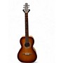 Used Seagull Entourage Grand Parlor Rustic Burst Acoustic Guitar Rustic Burst