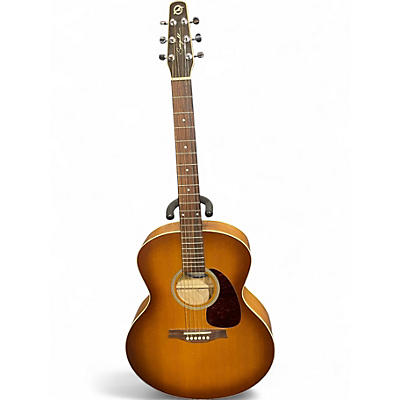 Used Seagull Entourage Mini Jumbo Rustic Burst Acoustic Guitar