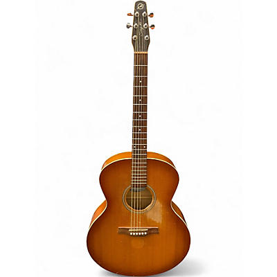 Used Seagull Entourage Mini Jumbo Rustic Burst Acoustic Guitar