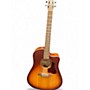 Used Seagull Entourage Rustic CW Autumnburst Acoustic Guitar Autumnburst