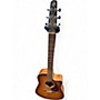 Used Seagull Entourage Rustic Cutaway Honey Burst Acoustic Electric Guitar Honey Burst