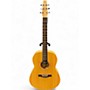 Used Seagull Excursion Folk SG Natural Acoustic Guitar Natural